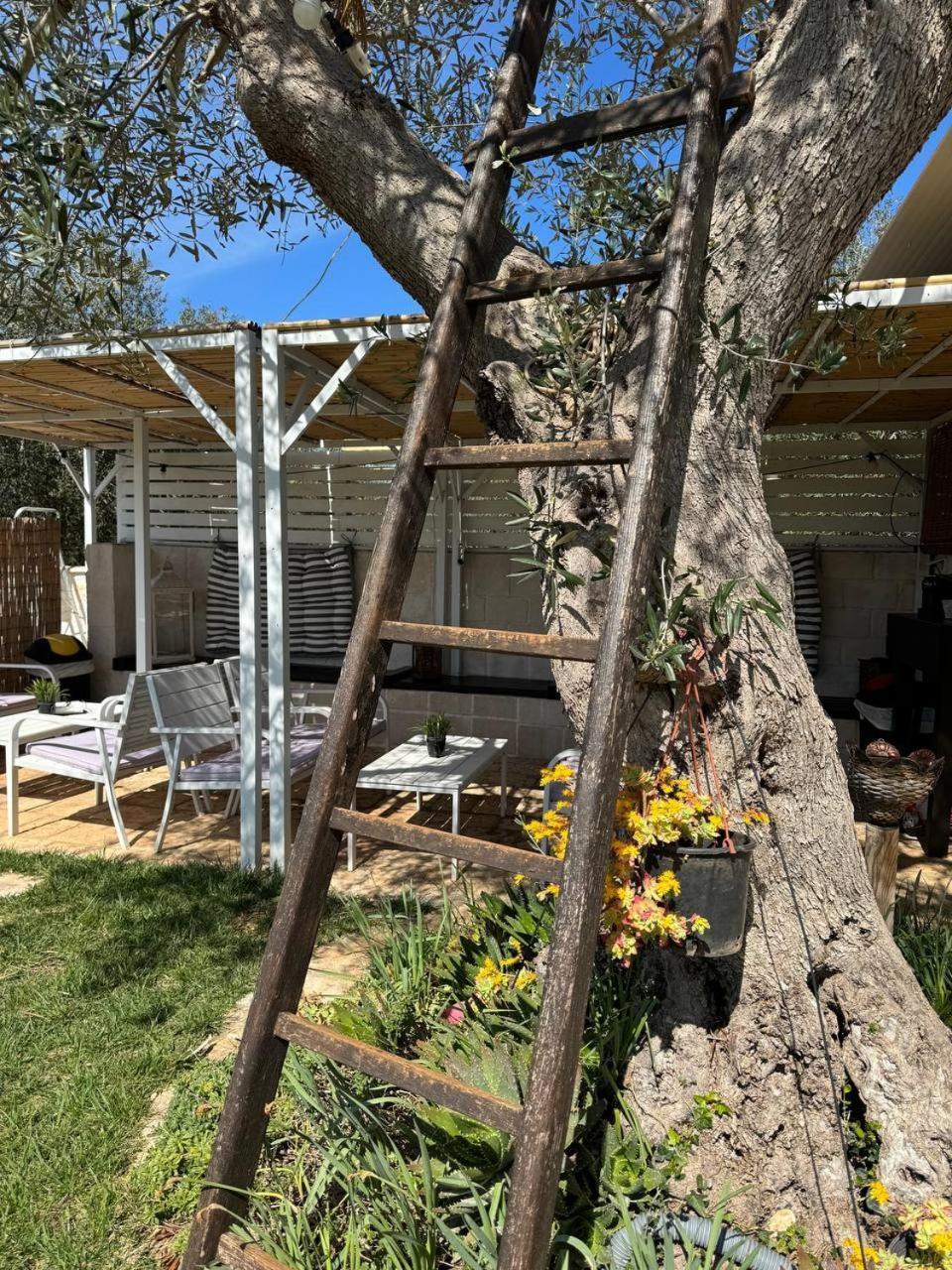 Bed and Breakfast Dimora Ducabianco Monopoli Exterior foto